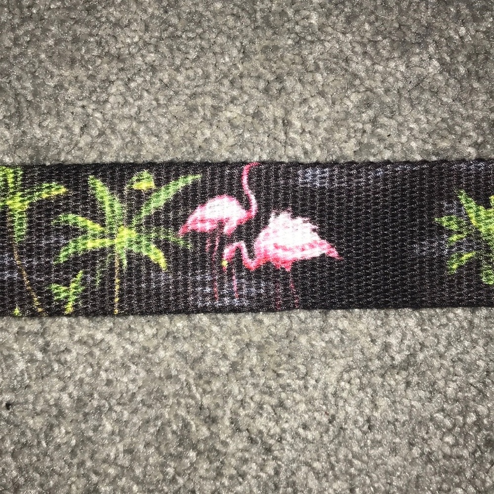Belt - Picture 4 of 4